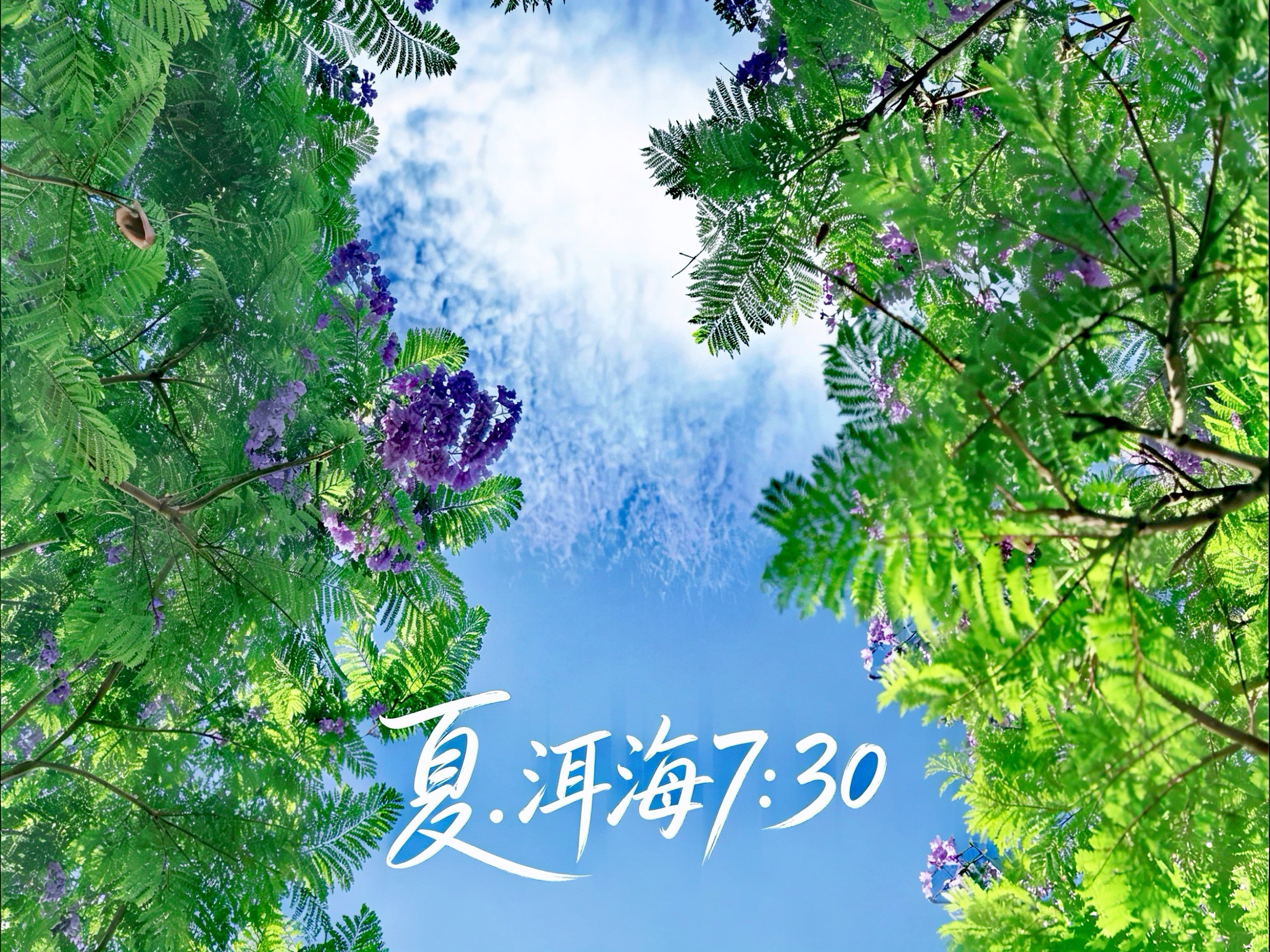 云，不仅是大理天气的“信使”，更是洱海多变的华丽“霓裳”。在夏天，不得不拍点大理的云，不得不收录一下大理云与洱海水的亲昵对话。大自然赠与大理的不只是美 #夏·洱