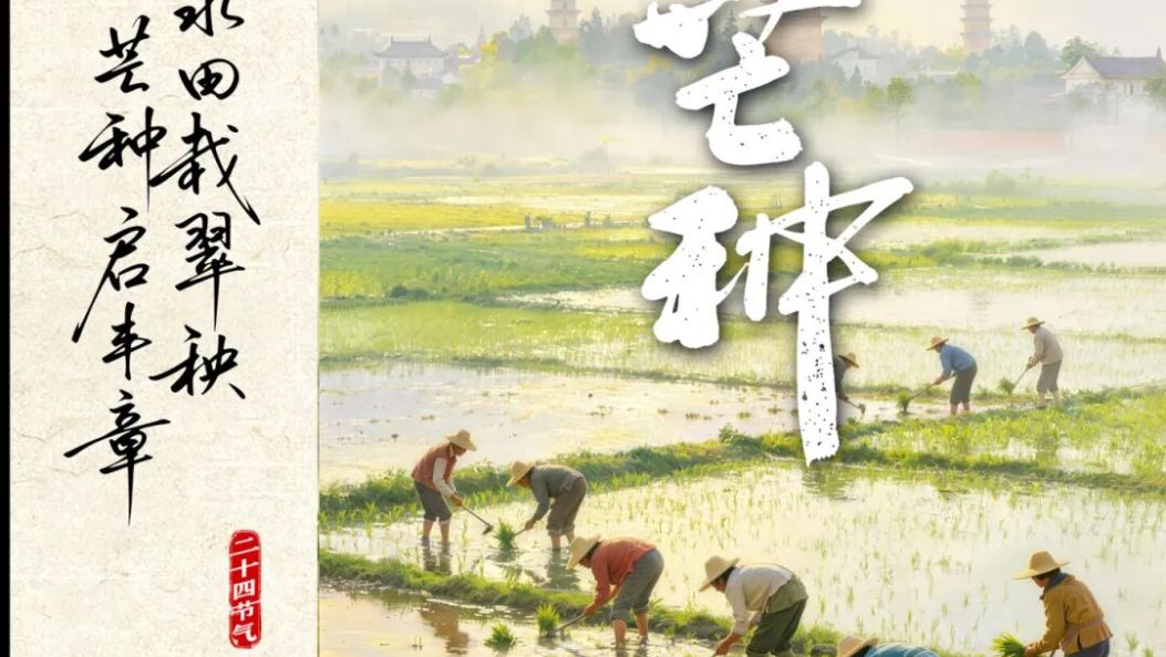 今日芒种：“芒”有所获 “种”有所得丨在大理爱上生活