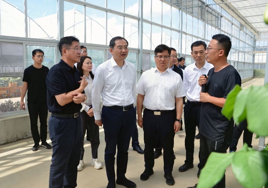 6月7日上午，浦东新区党政代表团在祥云县沙龙镇申洱花卉基地，实地考察沪滇协作推进产业发展、带动群众“家门口”就业等情况_proc_副本.jpg