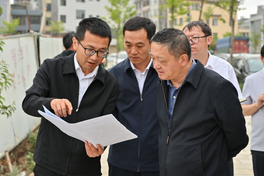 6月9日，杨国宗在祥云县彩云庄园项目现场，调研督导树立和践行正确政绩观学习教育整治工作_proc.jpg