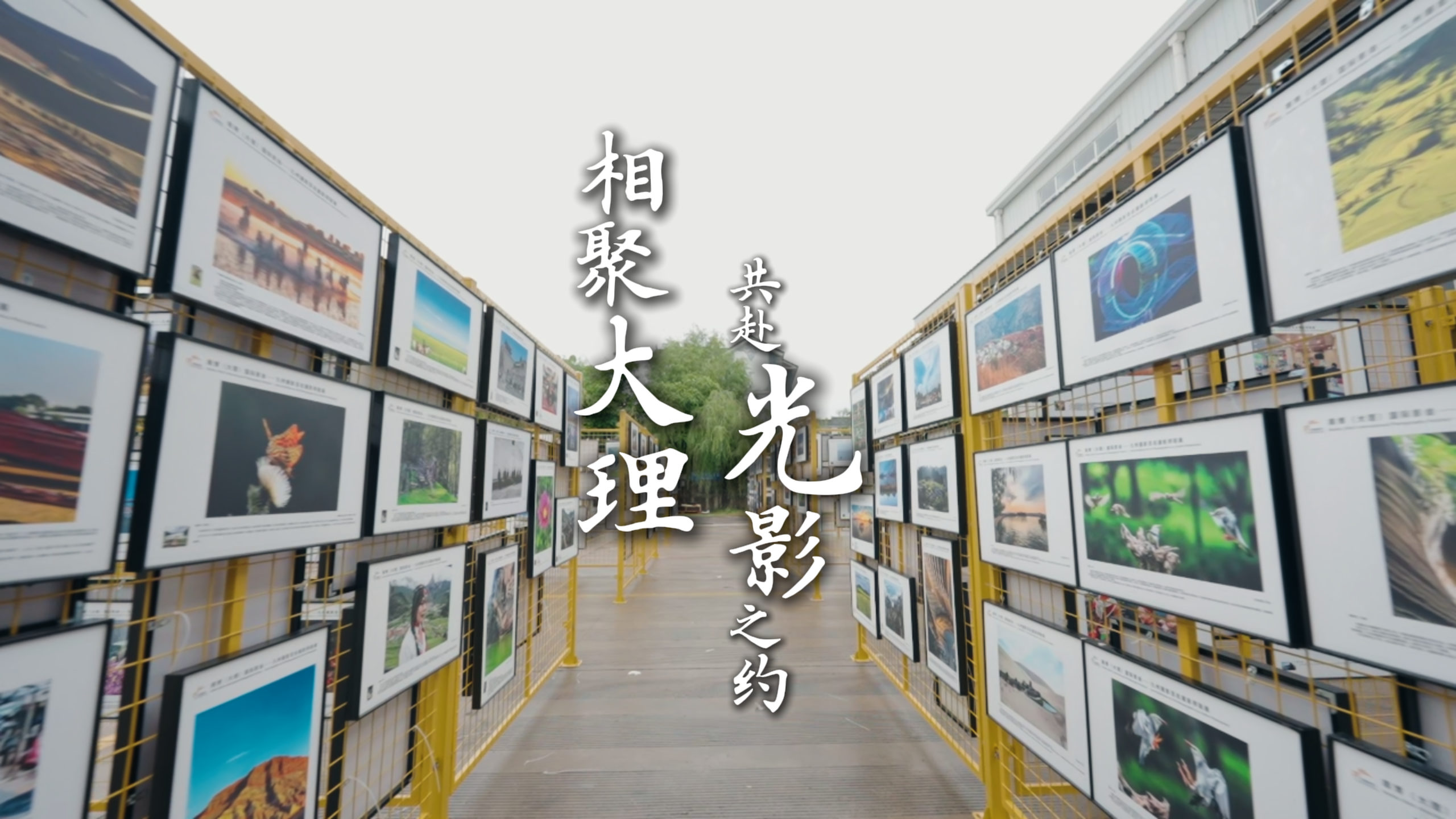 #在大理爱上生活 影像看世界 典藏看大理，6月13日，2026 南博（大理）国际影会大理站开启，让我们相聚大理，共赴光影之约 #南博（大理）国际影会 #大理70