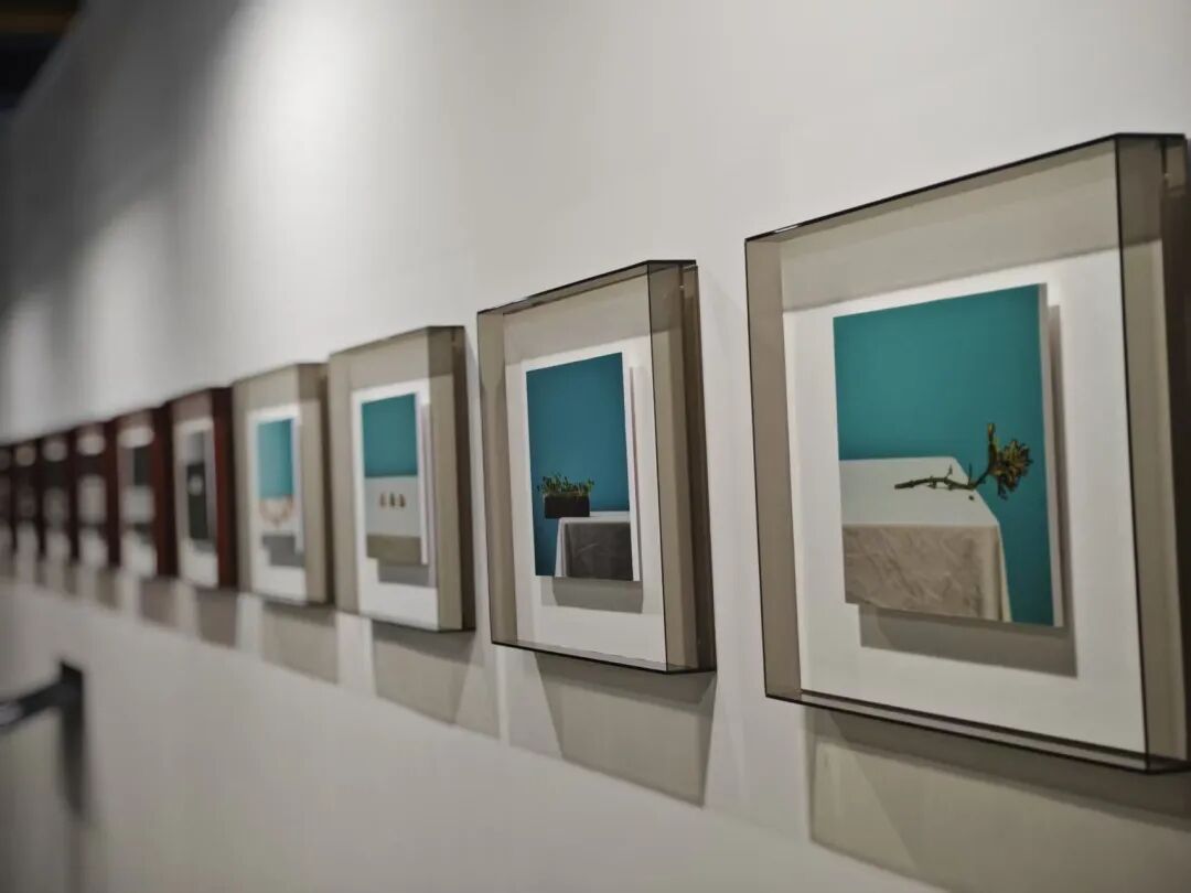 以影为媒 双城共展｜在大理，邂逅一场顶级的光影盛宴