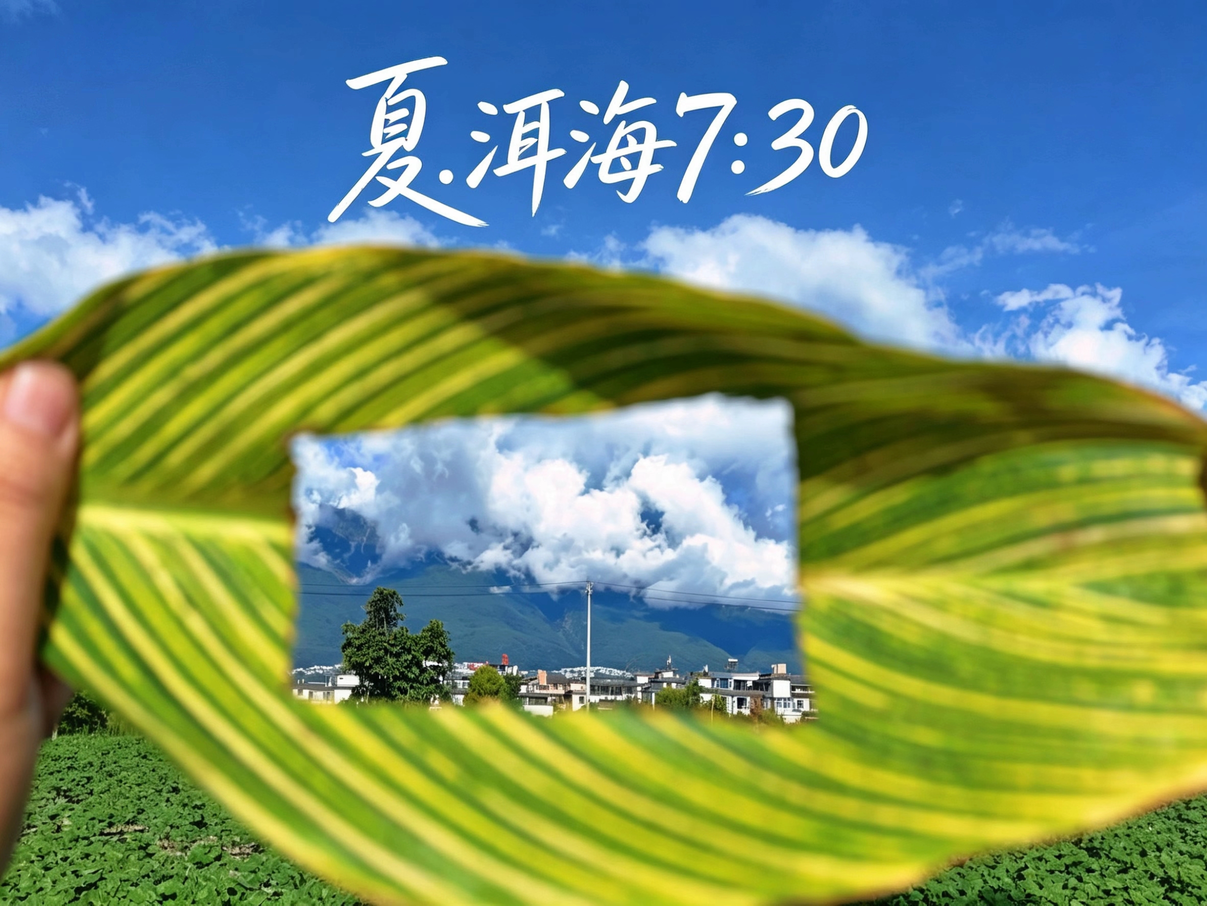 洱海夏长，清风渡。涟漪荡漾着鱼影与鹭像。世人皆问乐园何在？其实，心安之处，即是归途；洱海，是吾乡。大自然赠与大理的不只是美#夏·洱海7:30#在大理爱上生活。