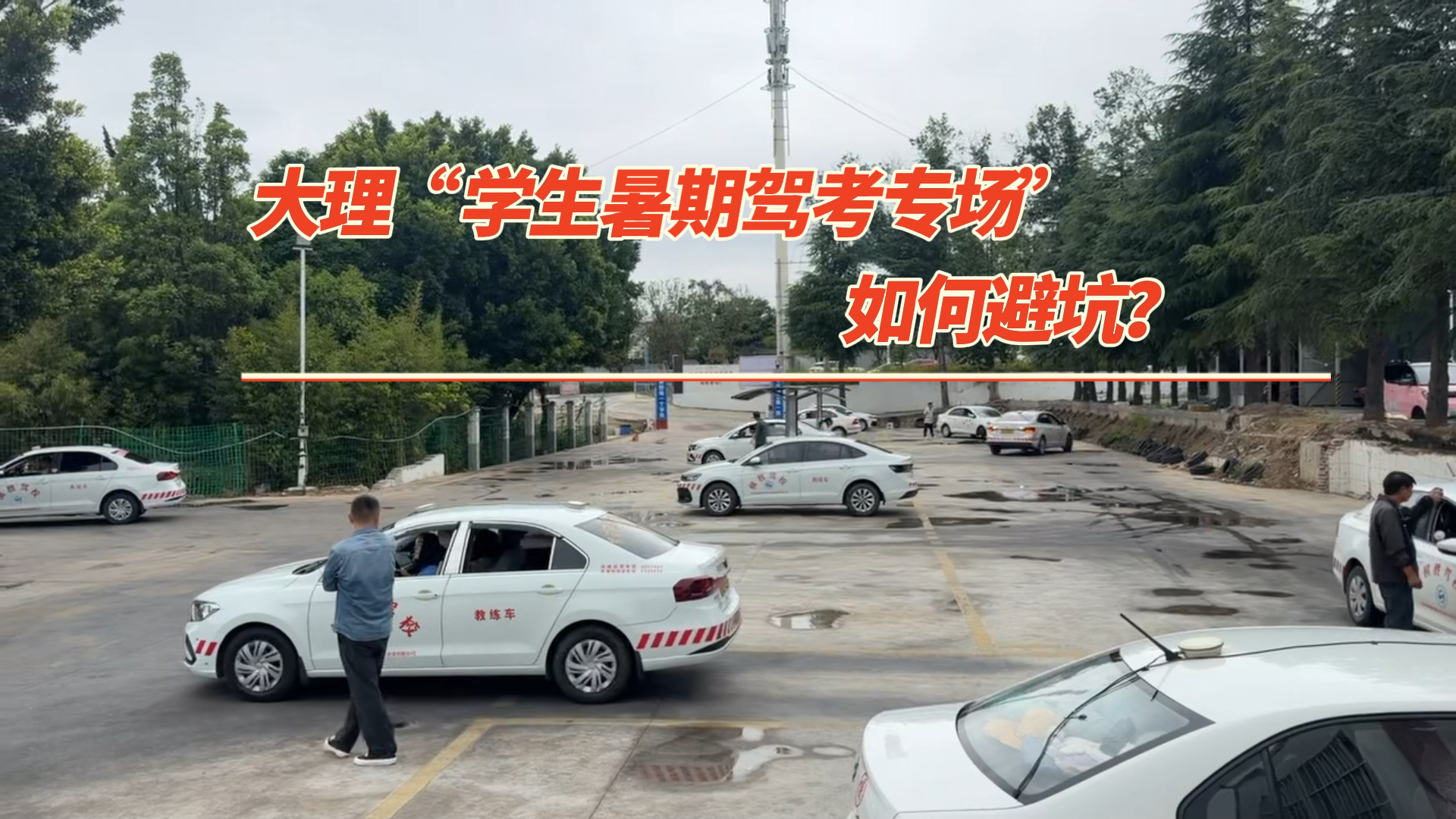 《海星说交通》第149期：大理“学生暑期驾考专场”如何避坑？#平安是福 #海星说交通 #普法强基在行动