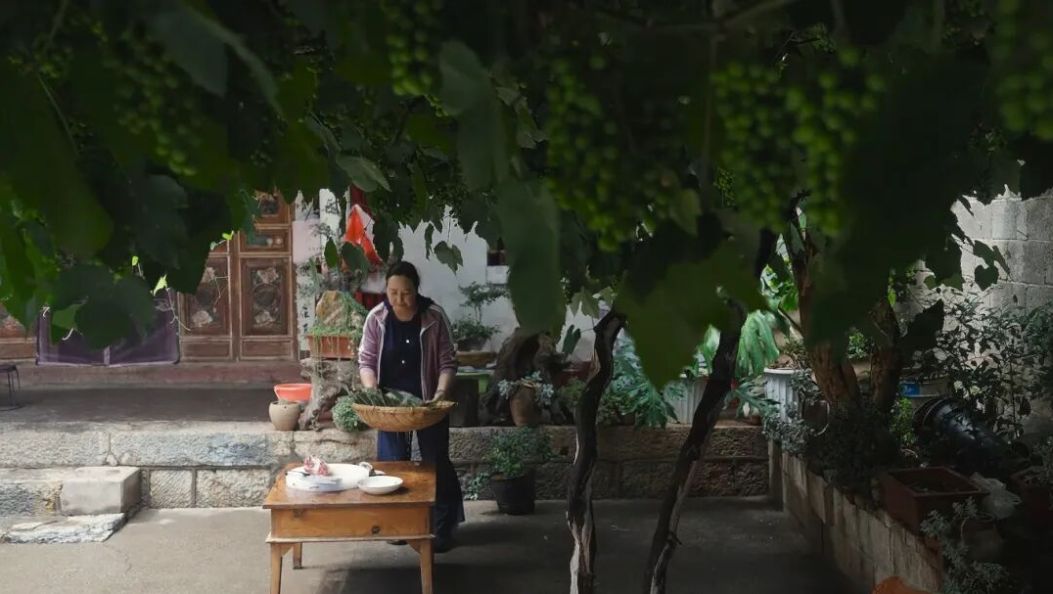 白族阿姐的手工粽，供不应求的秘密是什么？