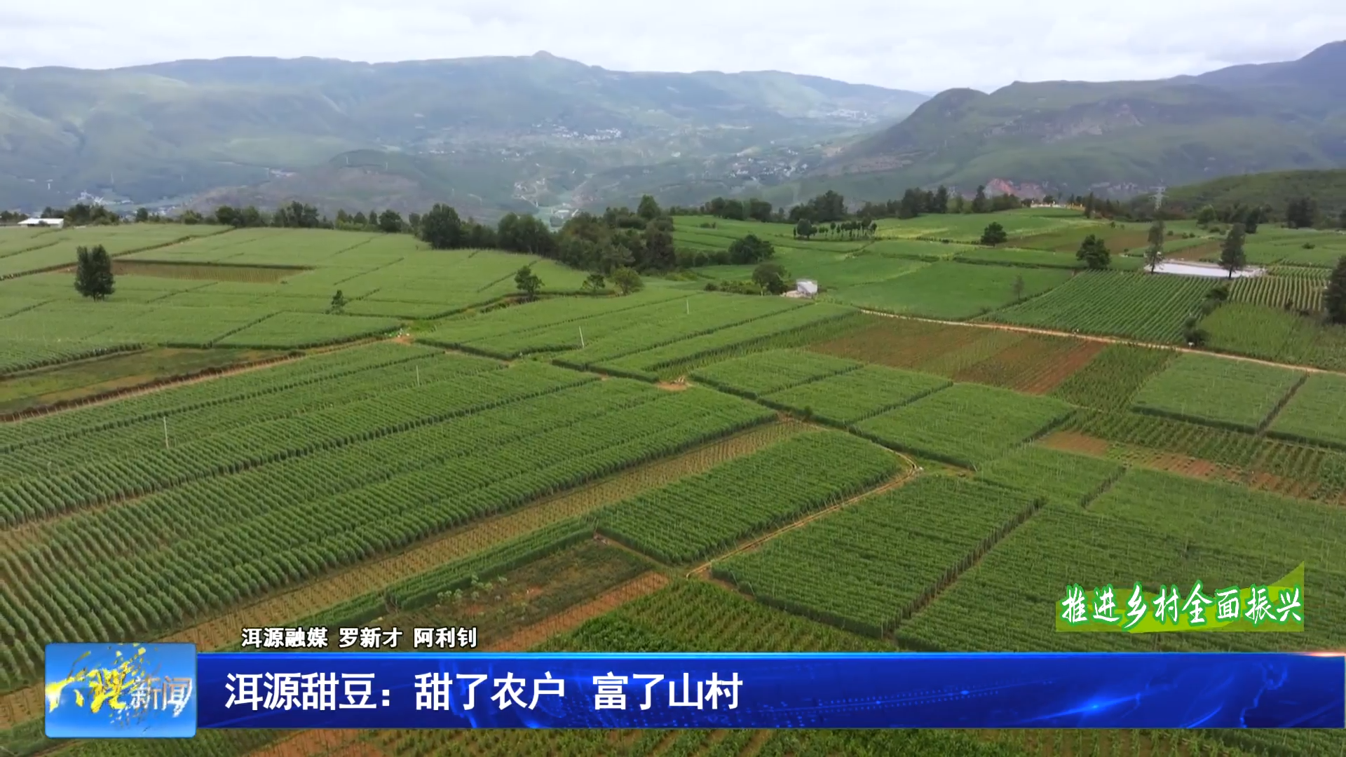 洱源甜豆：甜了农户 富了山村