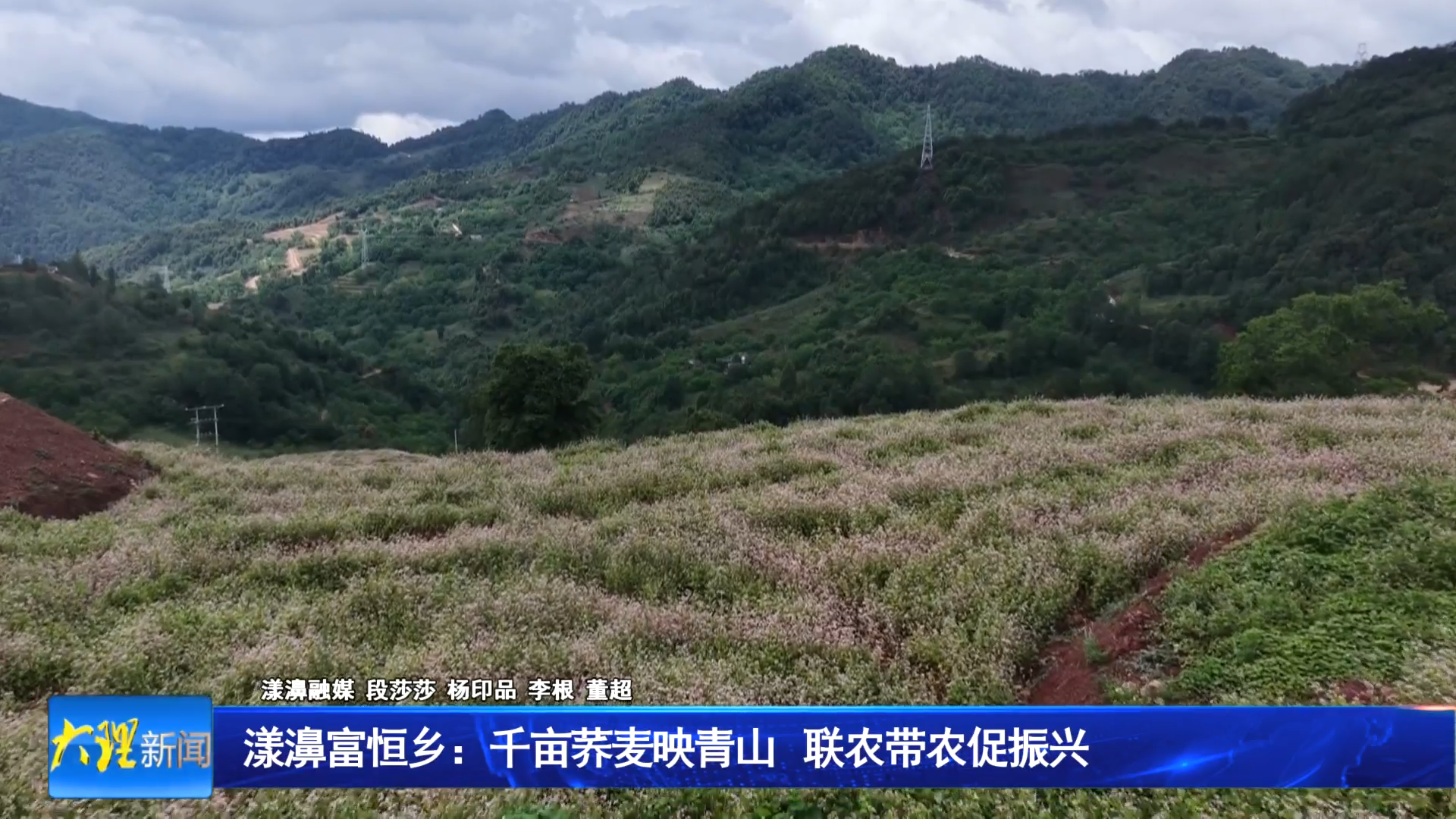 漾濞富恒乡：千亩荞麦映青山 联农带农促振兴