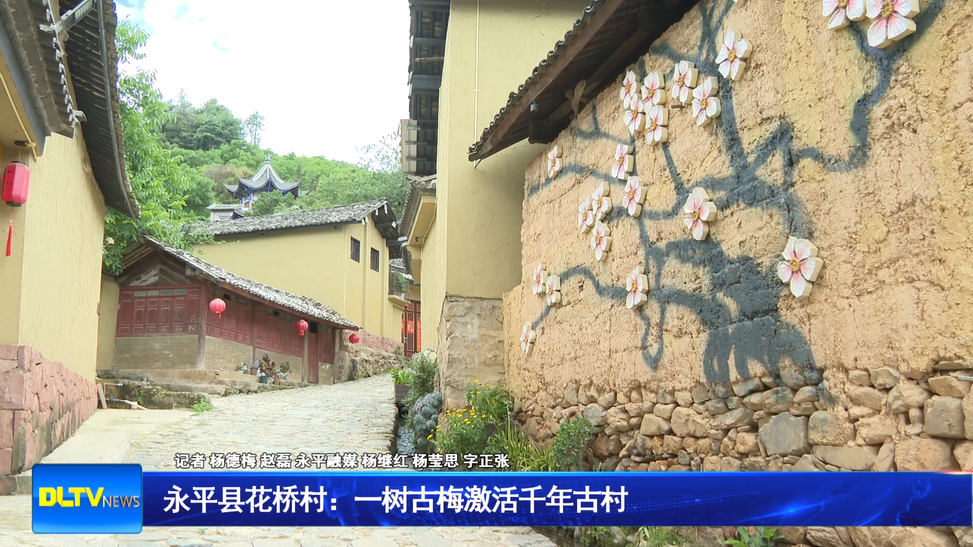 永平县花桥村：一树古梅激活千年古村