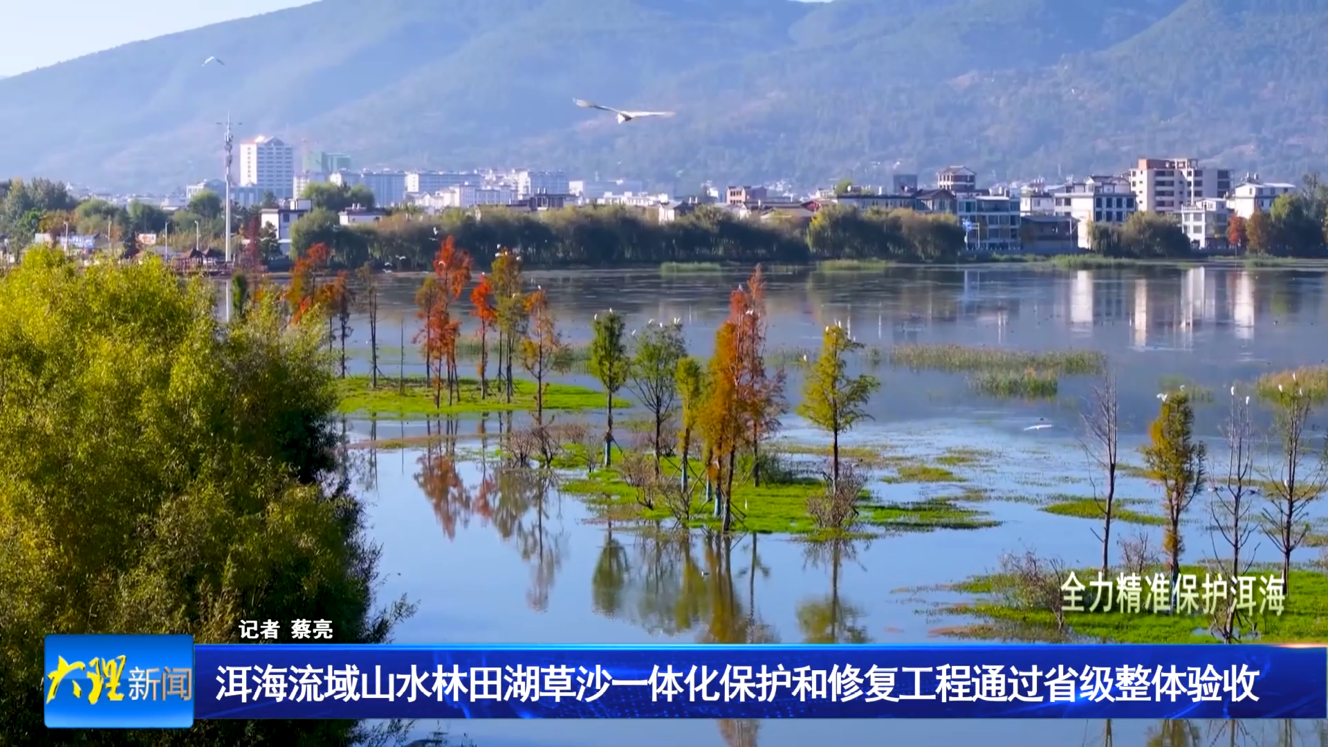 洱海流域山水林田湖草沙一体化保护和修复工程通过省级整体验收