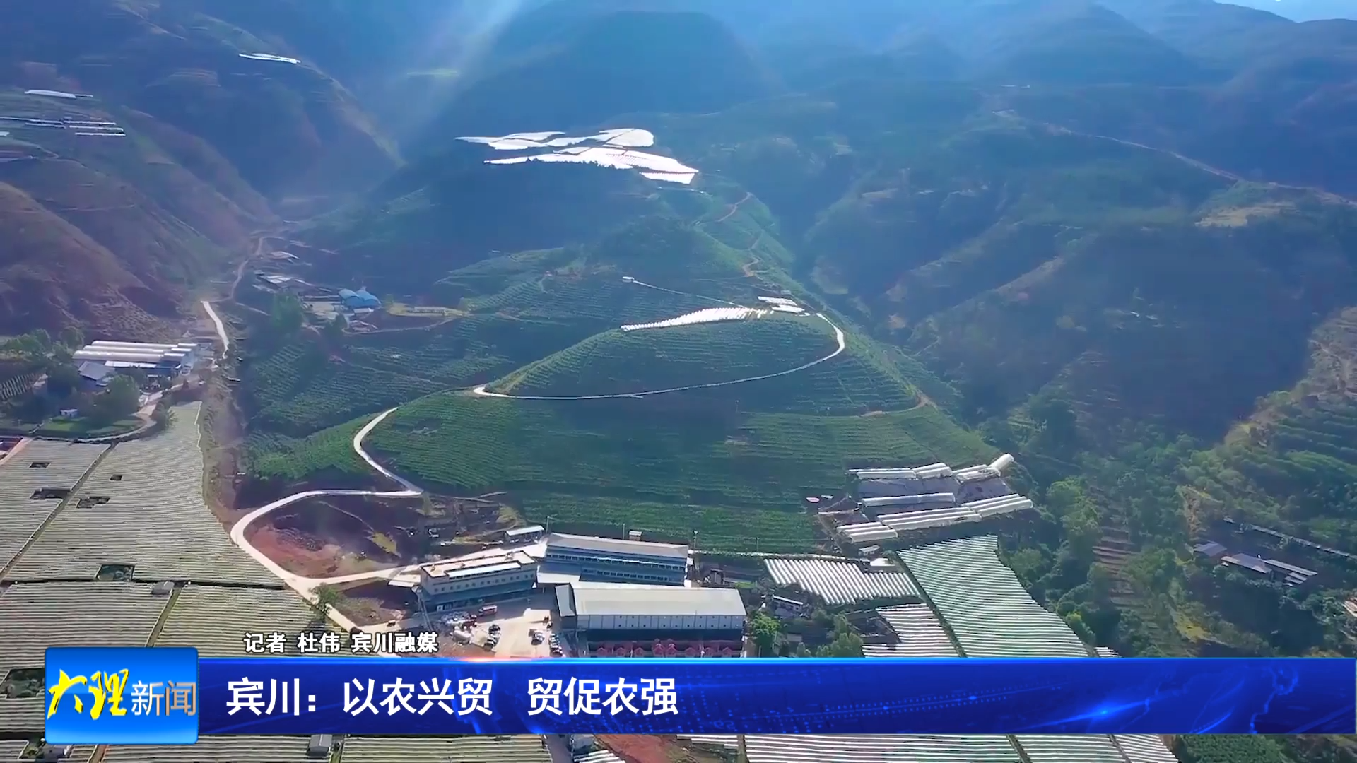 宾川：以农兴贸 贸促农强