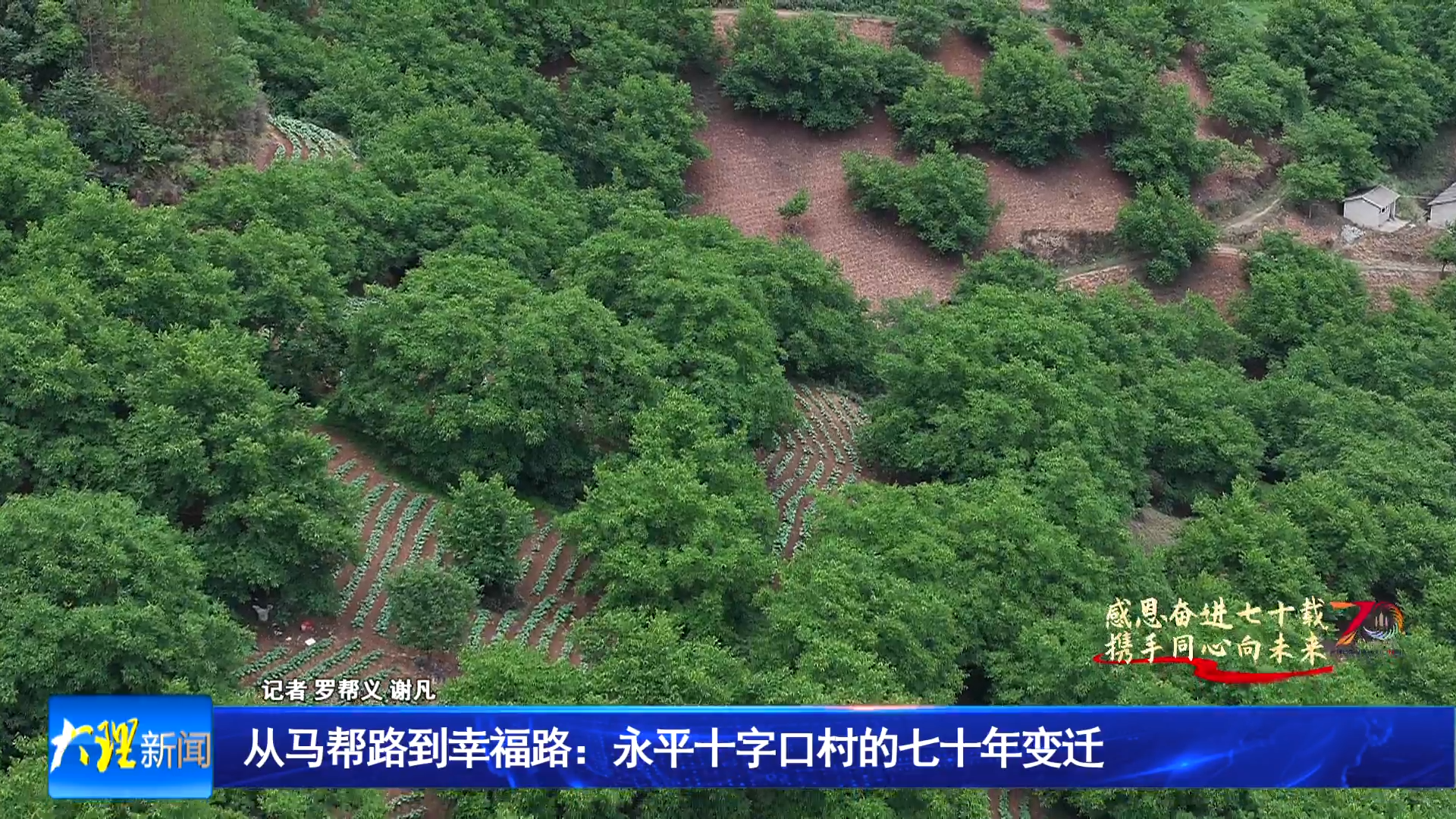 从马帮路到幸福路：永平县十字口村的70年变迁