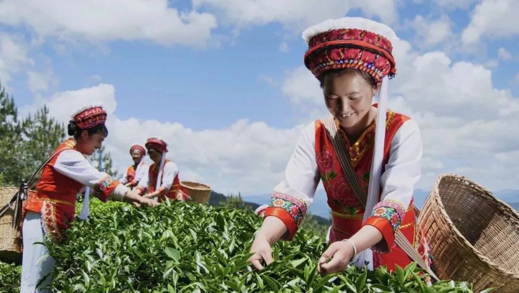 剑川象图村：百年古村的变与不变