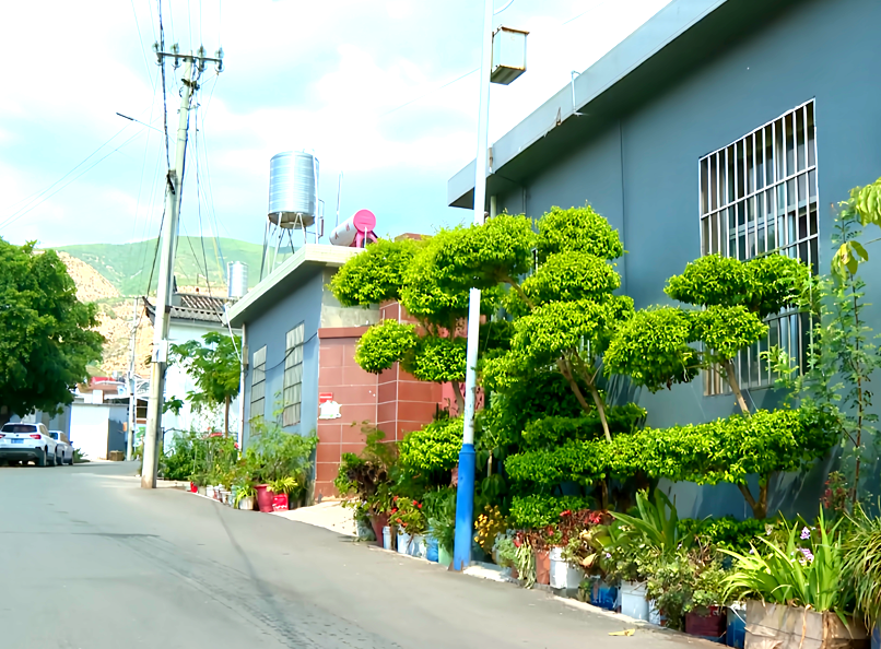 “臭水沟”变“风景线”：一个村庄的美学初觉醒 |记者观察·宾川县蔡甸村深度报道（三）