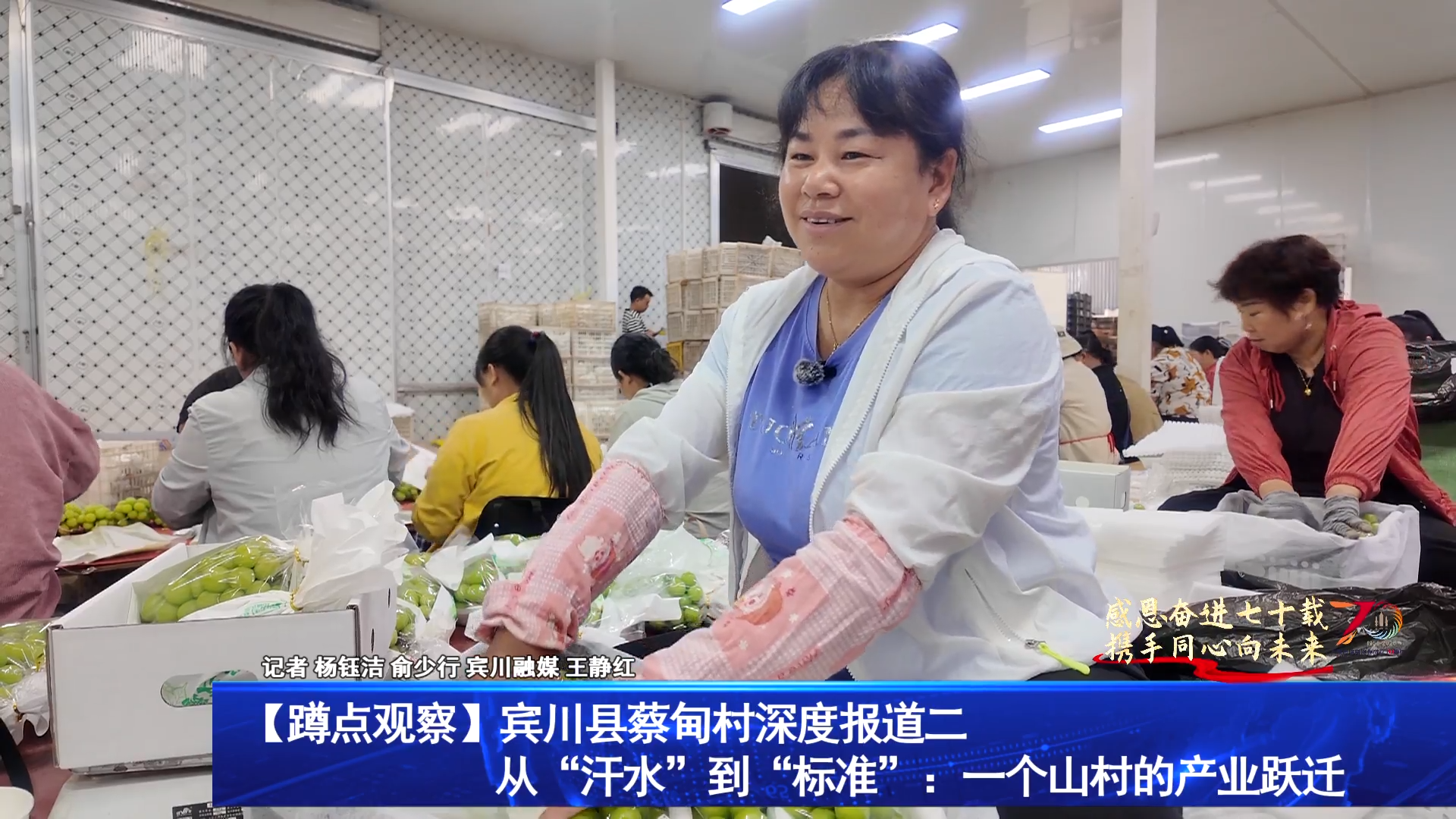 蹲点观察宾川县蔡甸村深度报道二 从“汗水”到“标准”：一个山村的产业跃迁
