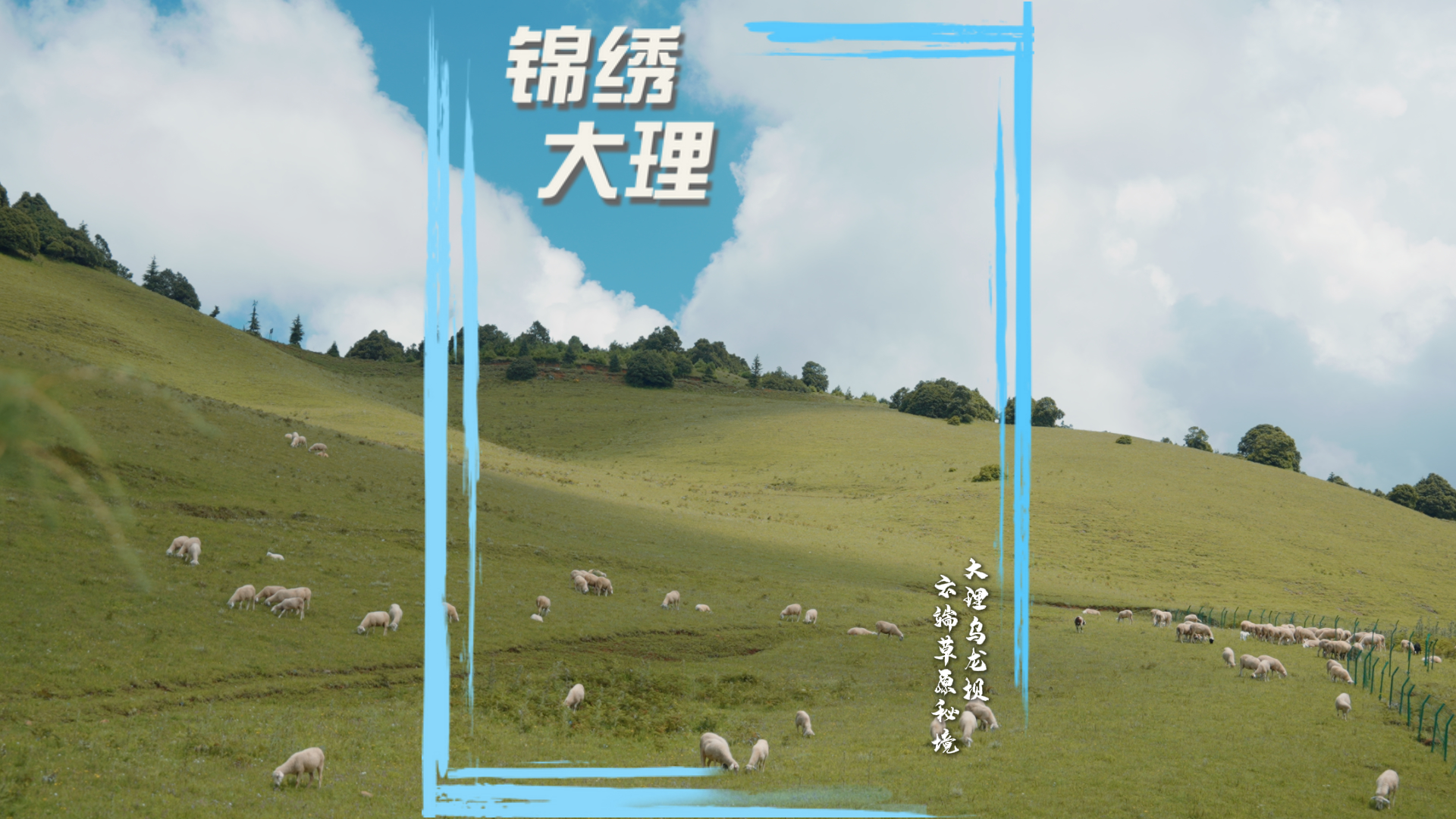 #在大理爱上生活 大理乌龙坝 云端草原秘境#人类心灵栖居地大理 #大理70正芳华