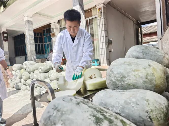 我们村里有绝活 | 巍山永建小围埂村：瓜果蜜饯里的甜蜜事业