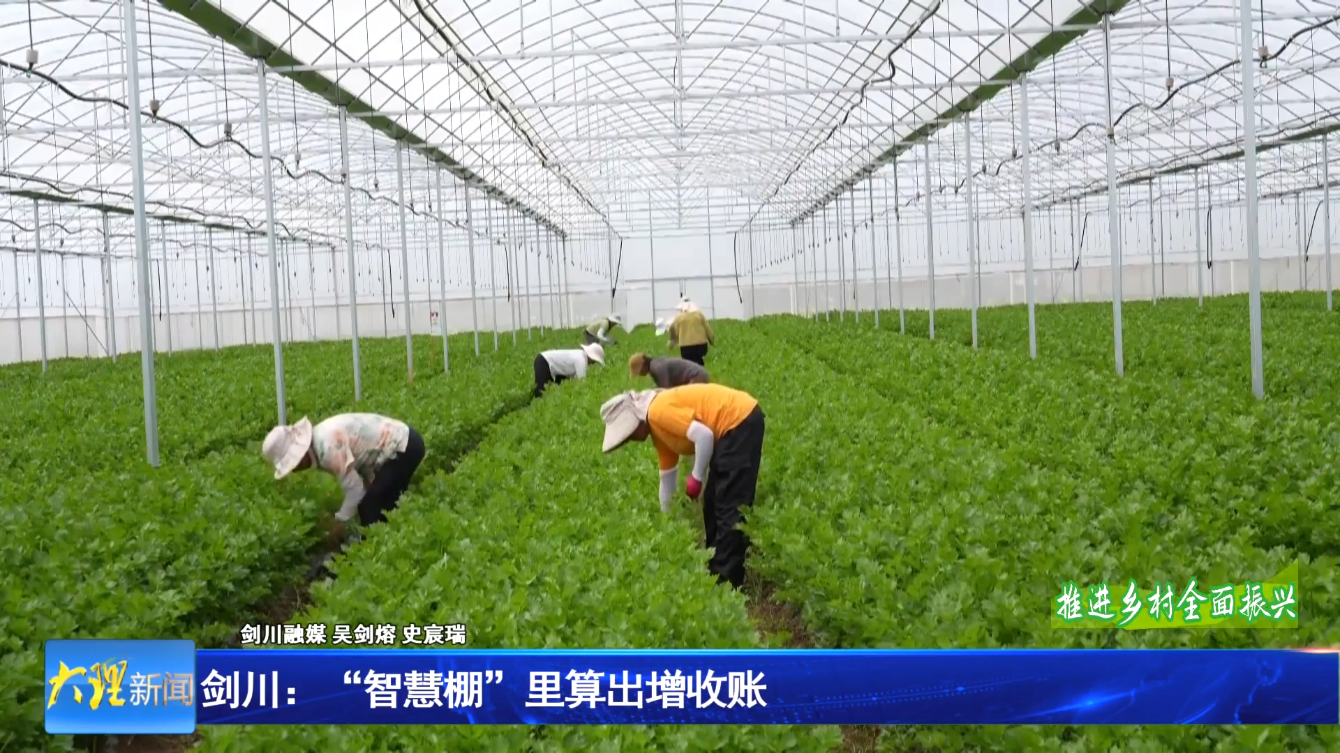 剑川：“智慧棚”里算出增收账