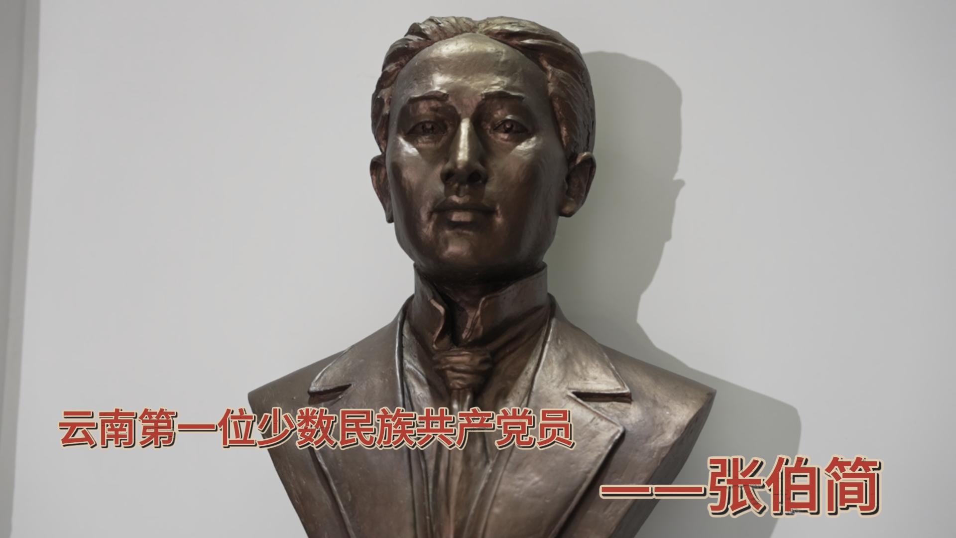 大理白族自治州关工委《“五老”故事会》微视频第7集 #红色故事 #正能量 #历史