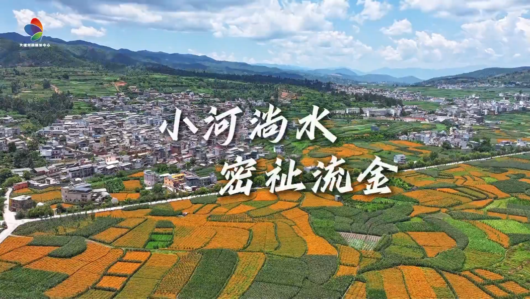 最美乡村之—弥渡密祉