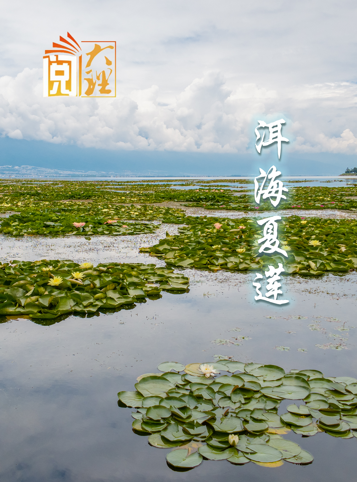 #在大理爱上生活 拈花漫写湖山韵 永护沧波四季妍 #阅读大理#旅居大理品味乡愁#大理70正芳华