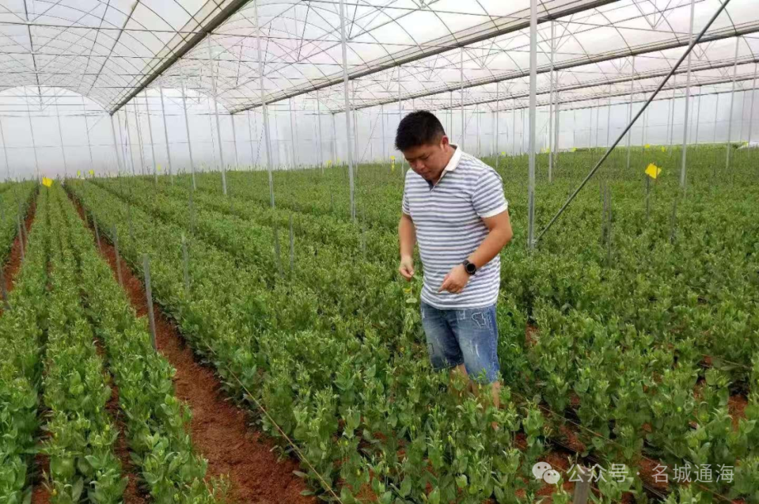 图片222.png