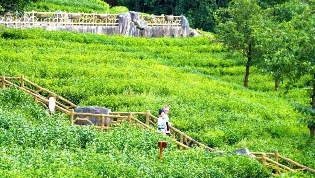 大理这5个地方清凉又出片
