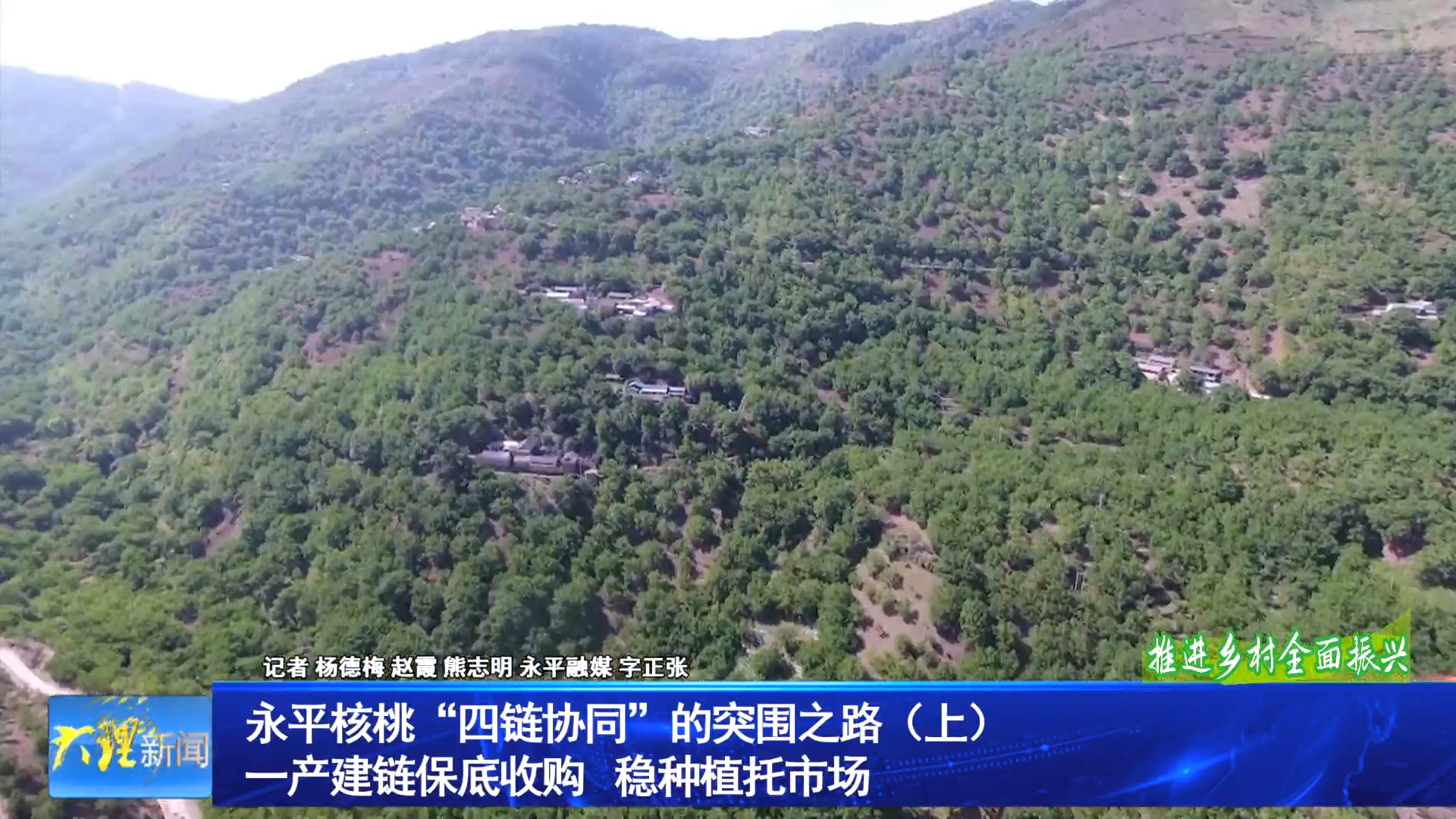 永平核桃“四链协同”的突围之路（上）