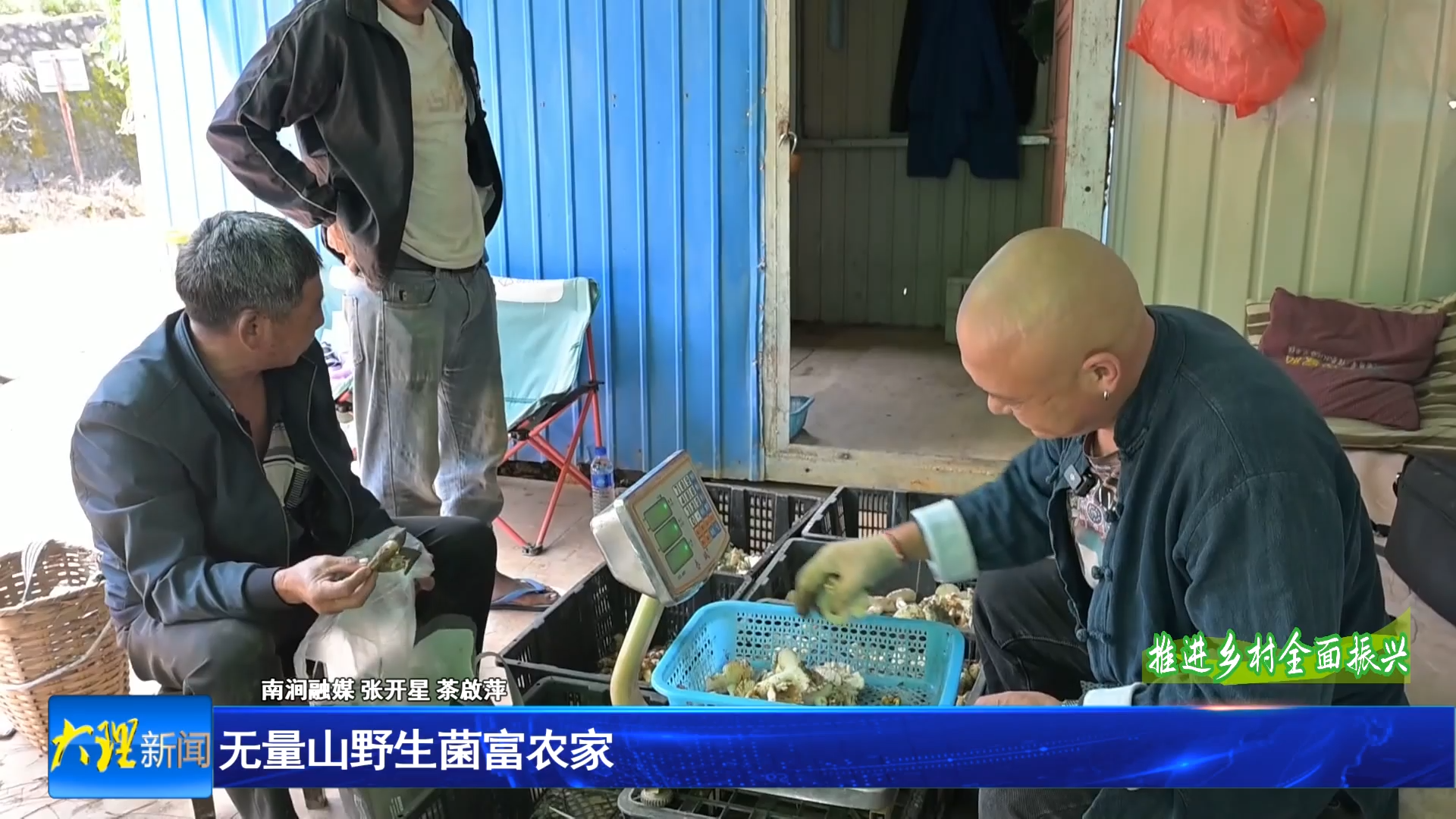 无量山野生菌富农家