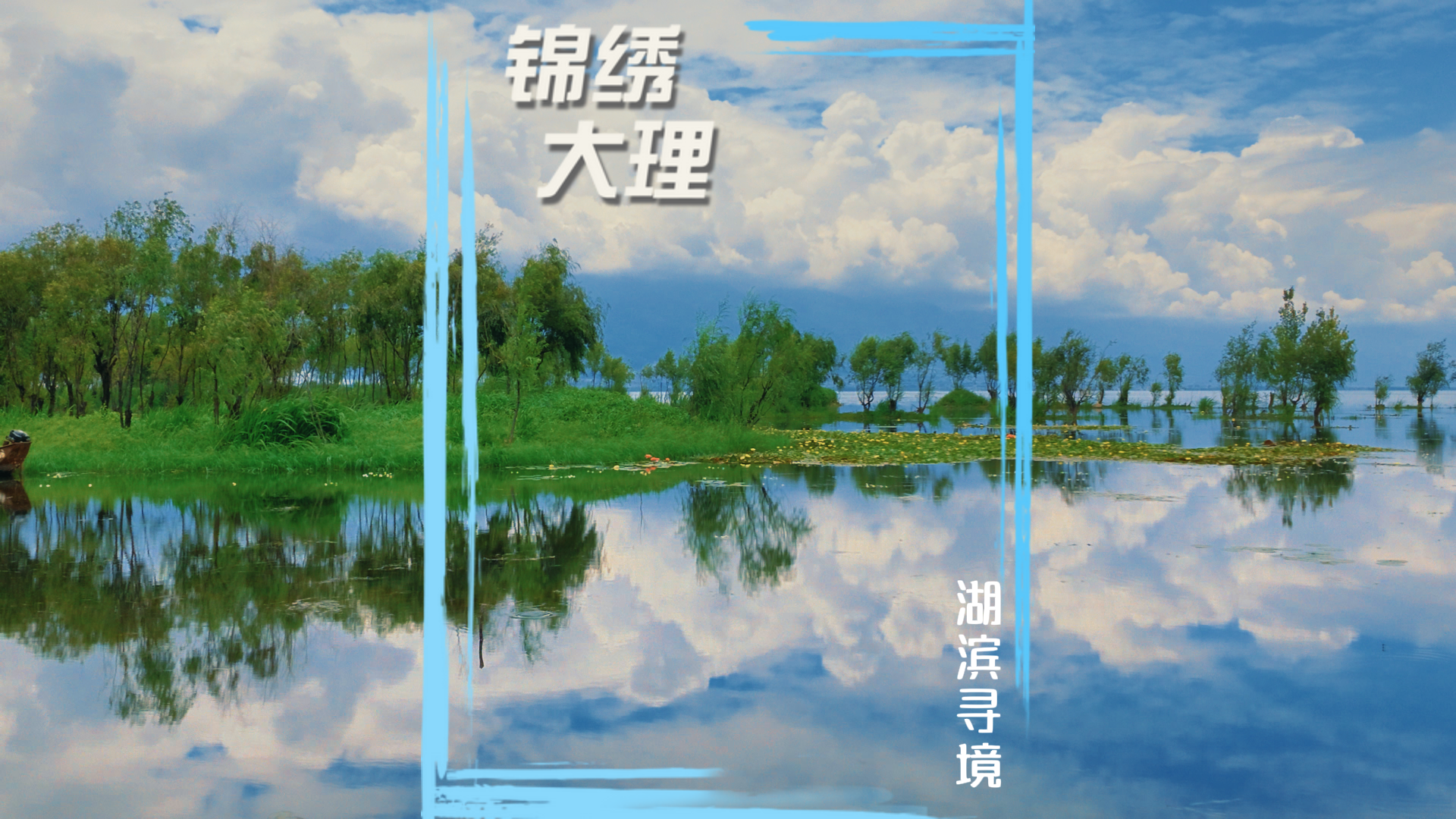 #在大理爱上生活 疏林尽处 遍览苍洱#人类心灵栖居地大理 #大理70正芳华