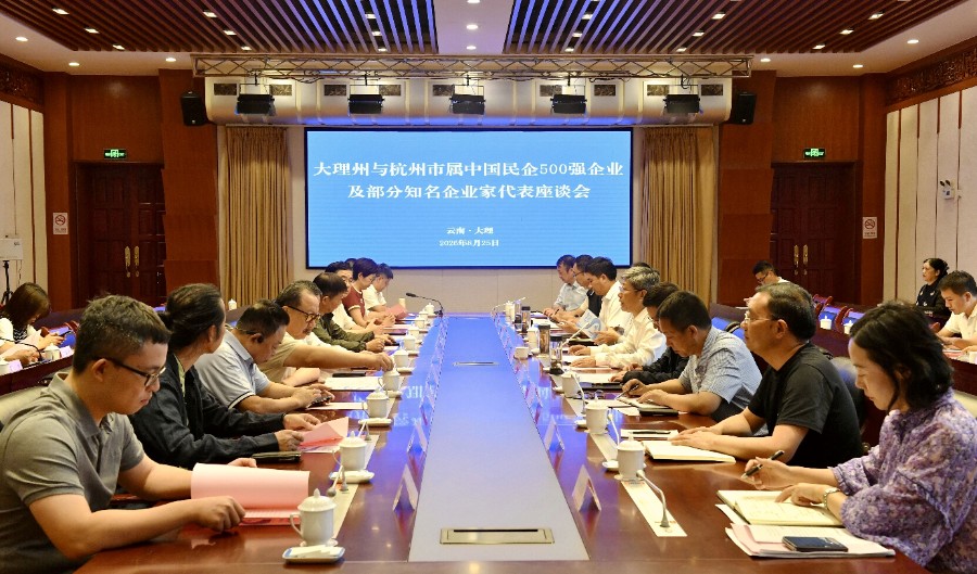 大理州与杭州市市属中国民企500强企业及部分知名企业家举行座谈会_proc_副本.jpg