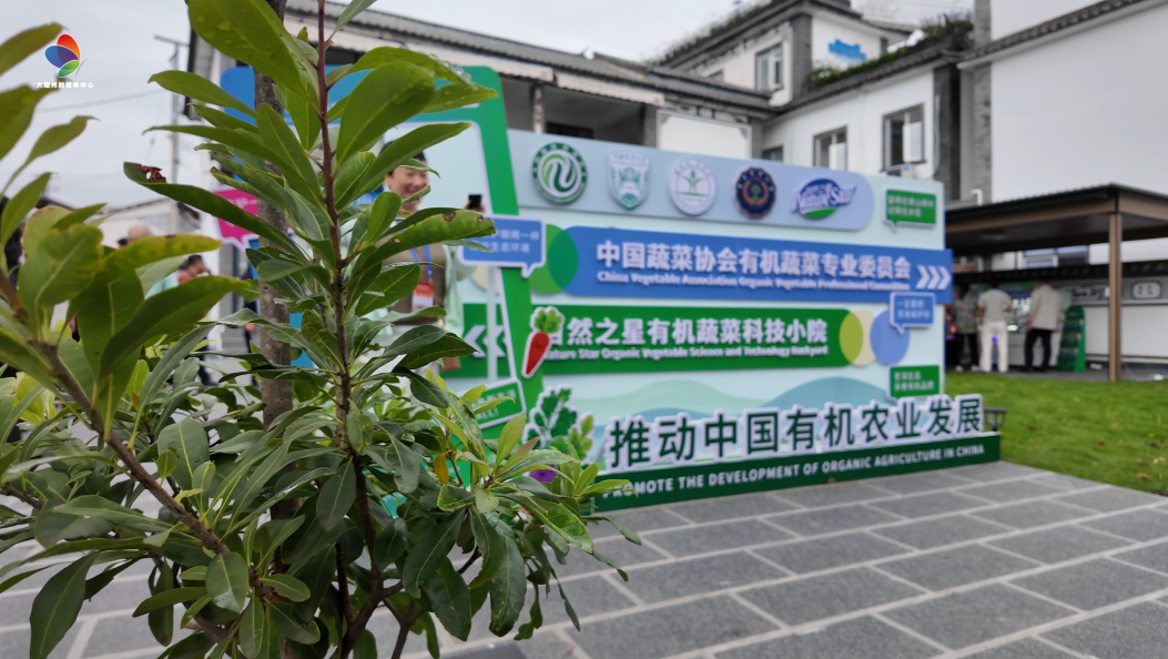 2026首届全国有机蔬菜发展大会观摩团打卡产业一线，探寻大理洱海流域有机农业密码！#在大理爱上生活#有机蔬菜