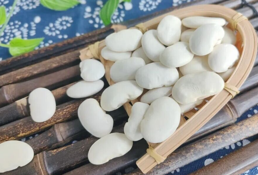 大理州绿色优质农产品展播——名特优新农产品剑川白芸豆
