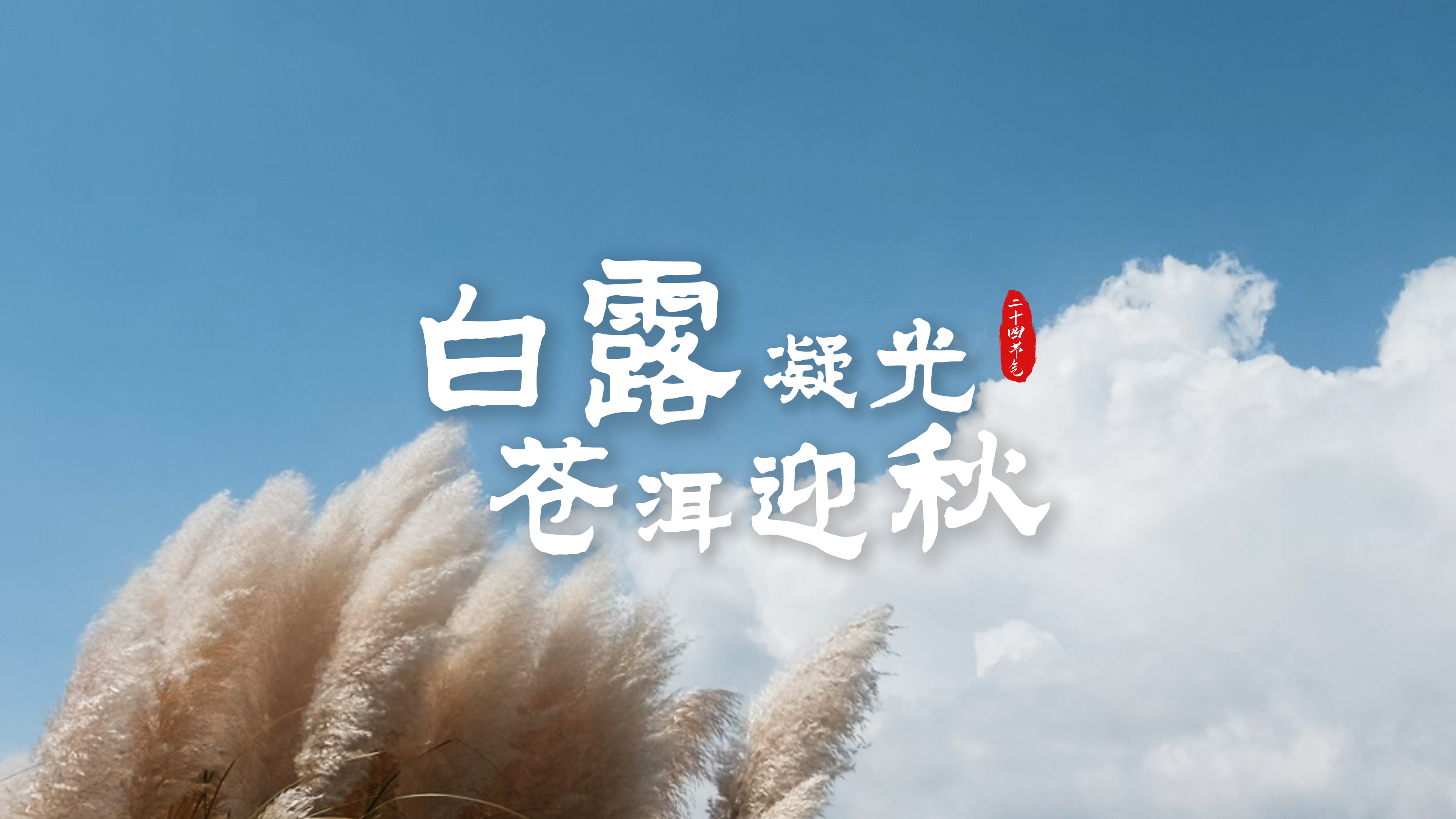 #在大理爱上生活  白露凝光 苍洱迎秋  #人类心灵栖居地大理 #大理70正芳华 #二十四节气