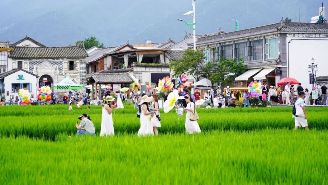 免票、优惠！“一张机票游大理”来了！
