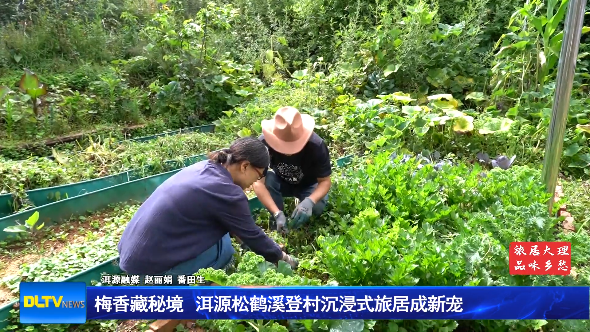 梅香藏秘境 洱源松鹤溪登村沉浸式旅居成新宠