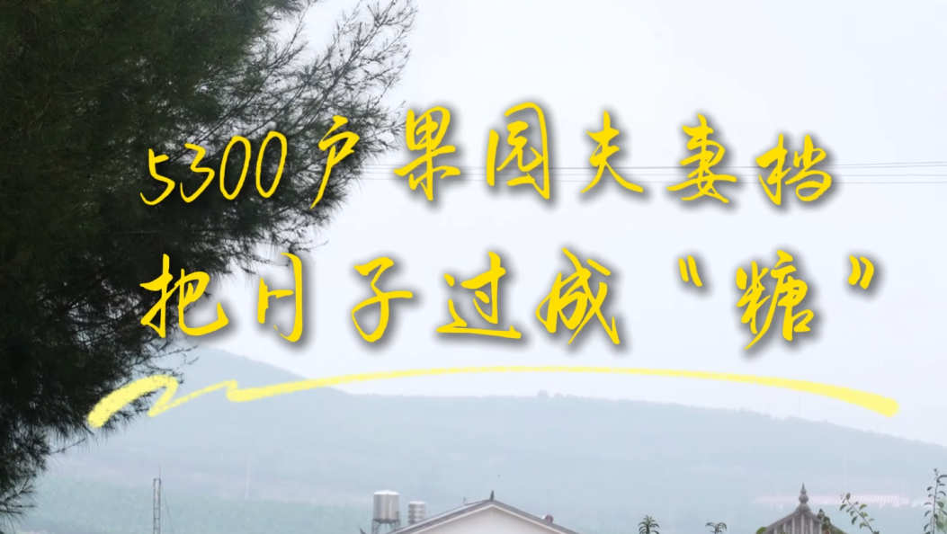 5300户果园夫妻档，把日子过成“糖” #沿着长江看中国 #学习强国