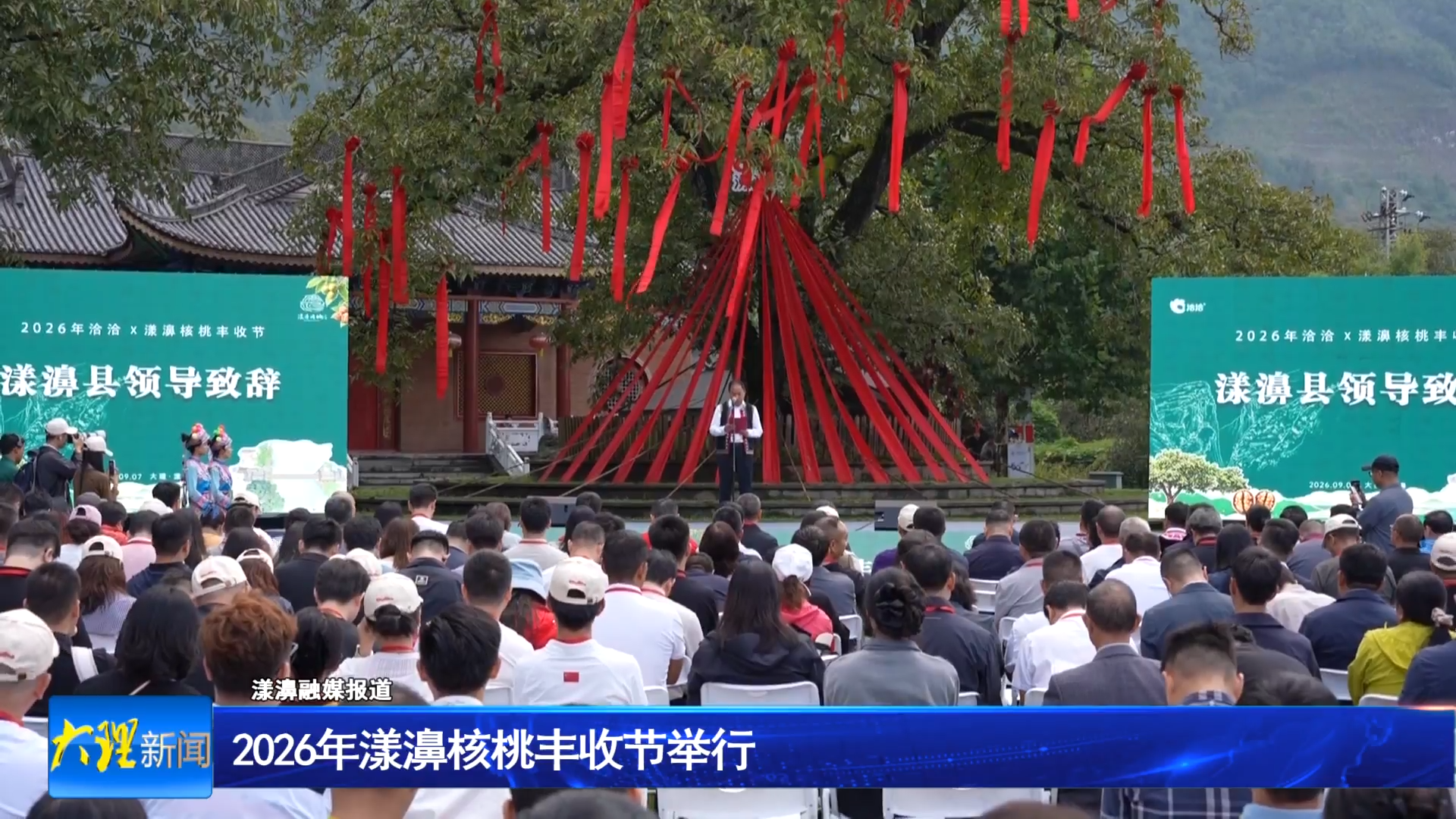 2026年漾濞核桃丰收节举行