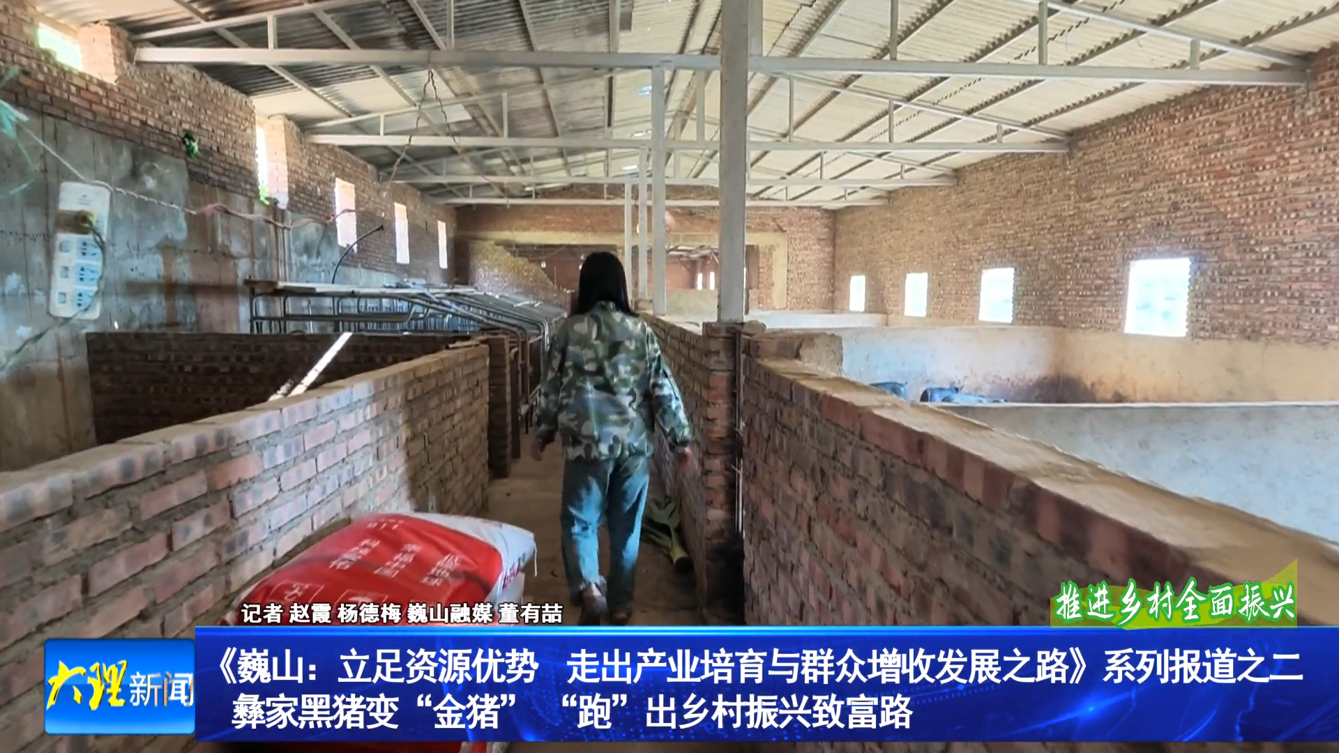 《巍山：立足资源优势  走出产业培育与群众增收发展之路》系列报道之二