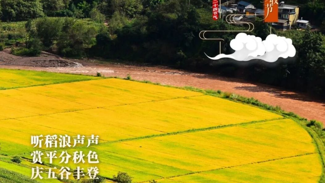 恰逢秋分至 共赴丰收节 | 在大理爱上生活