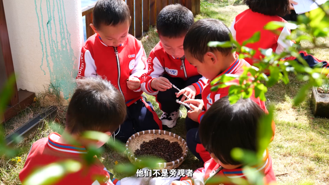 大理党建第254期
