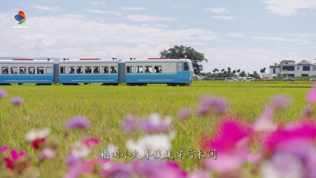 最美乡村之—喜洲  风拂田畴 秋染喜洲