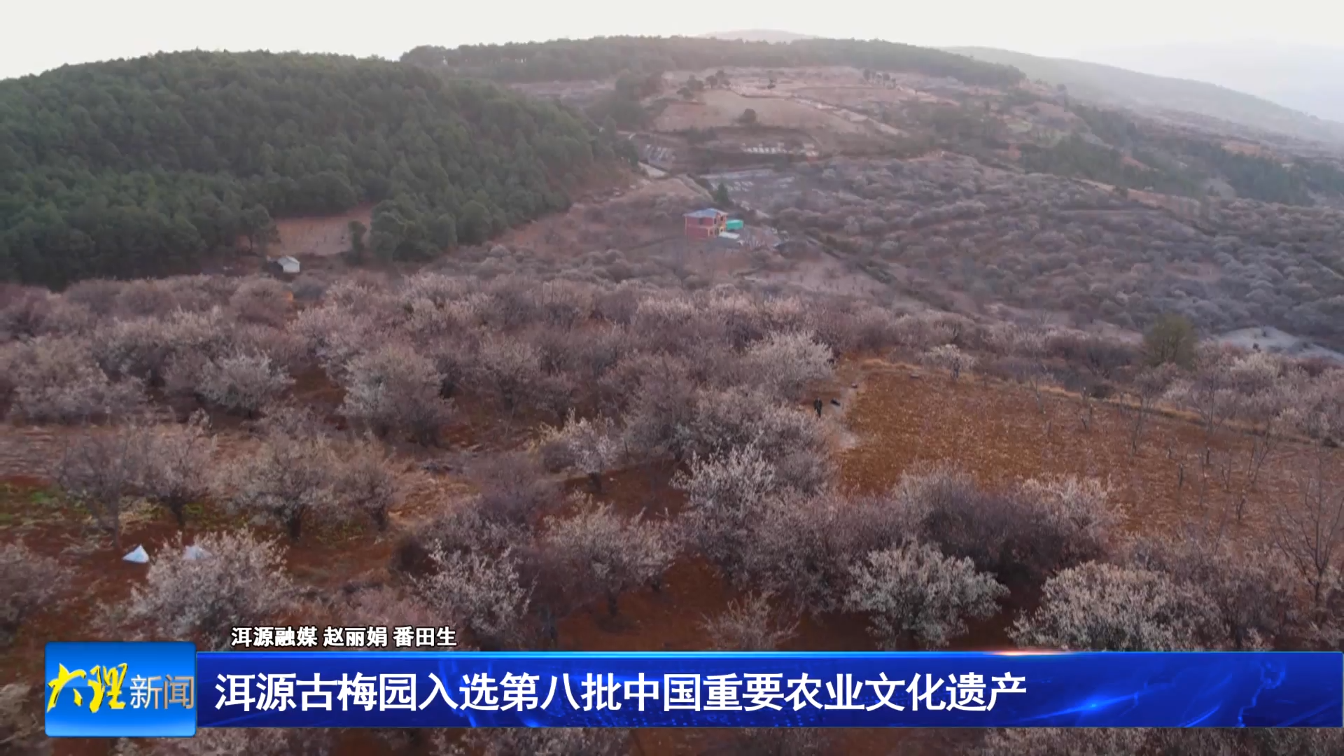 洱源古梅园入选第八批中国重要农业文化遗产