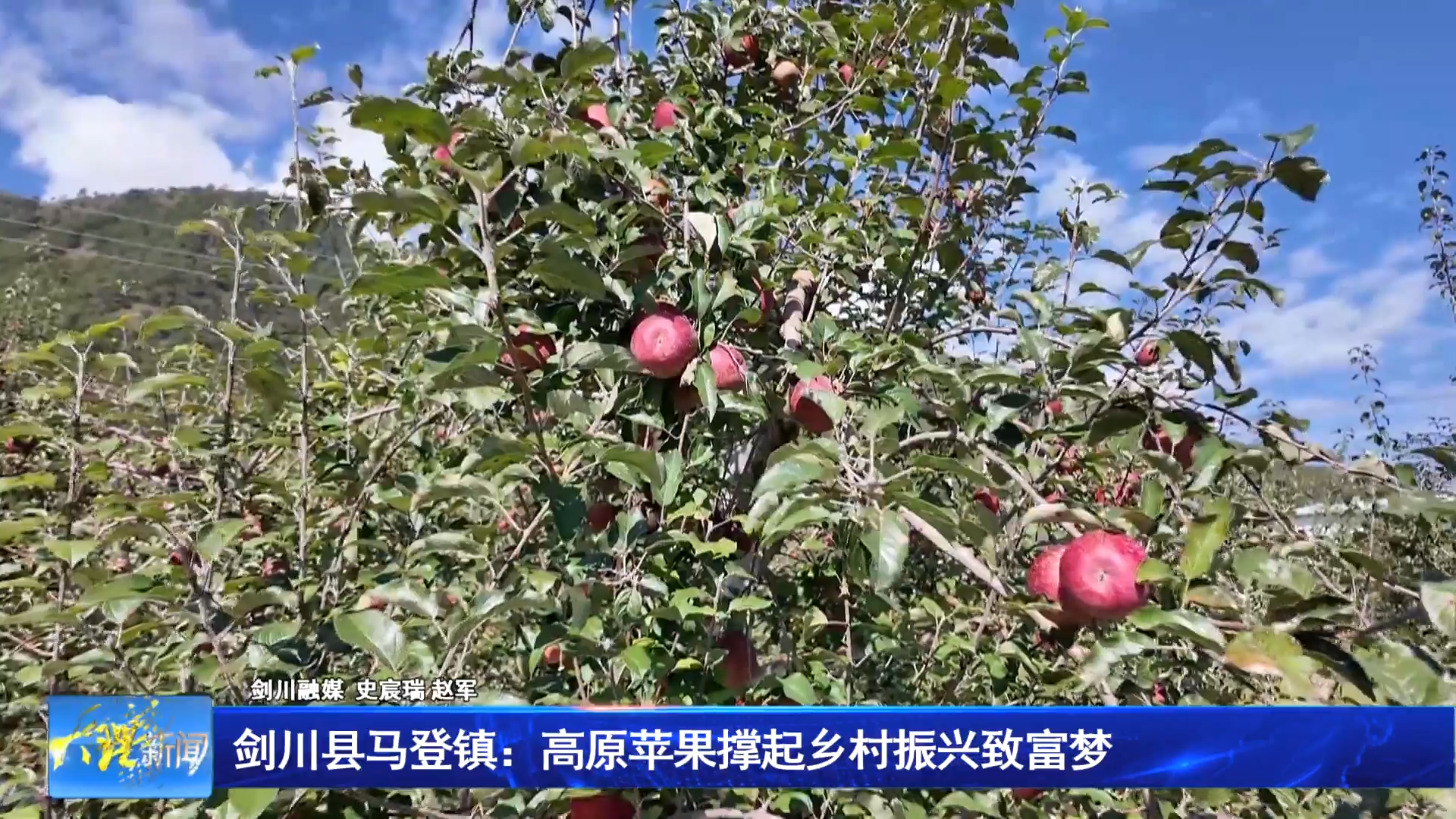 剑川县马登镇：高原苹果撑起乡村振兴致富梦