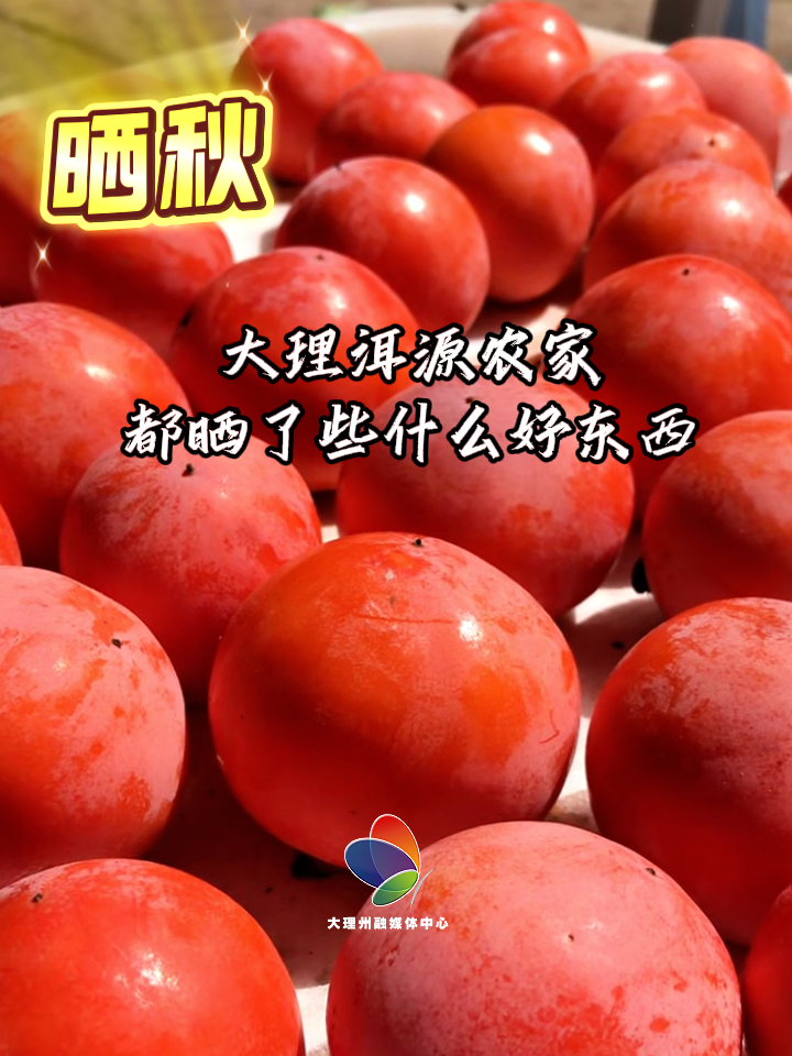 把大理的秋日阳光，晒进果实里。#大理#秋日限定#在大理爱上生活