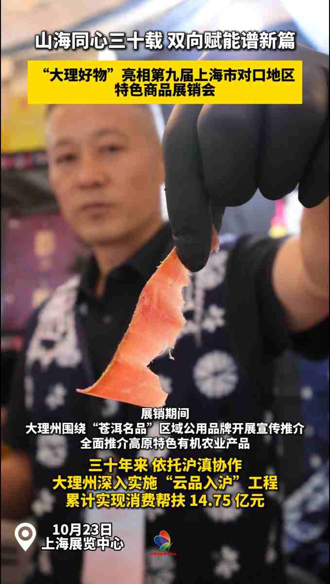 “大理好物”亮相第九届上海市对口地区特色商品展销会 。#沪滇帮扶 #大理好物 #上海市对口地区 #商品展销