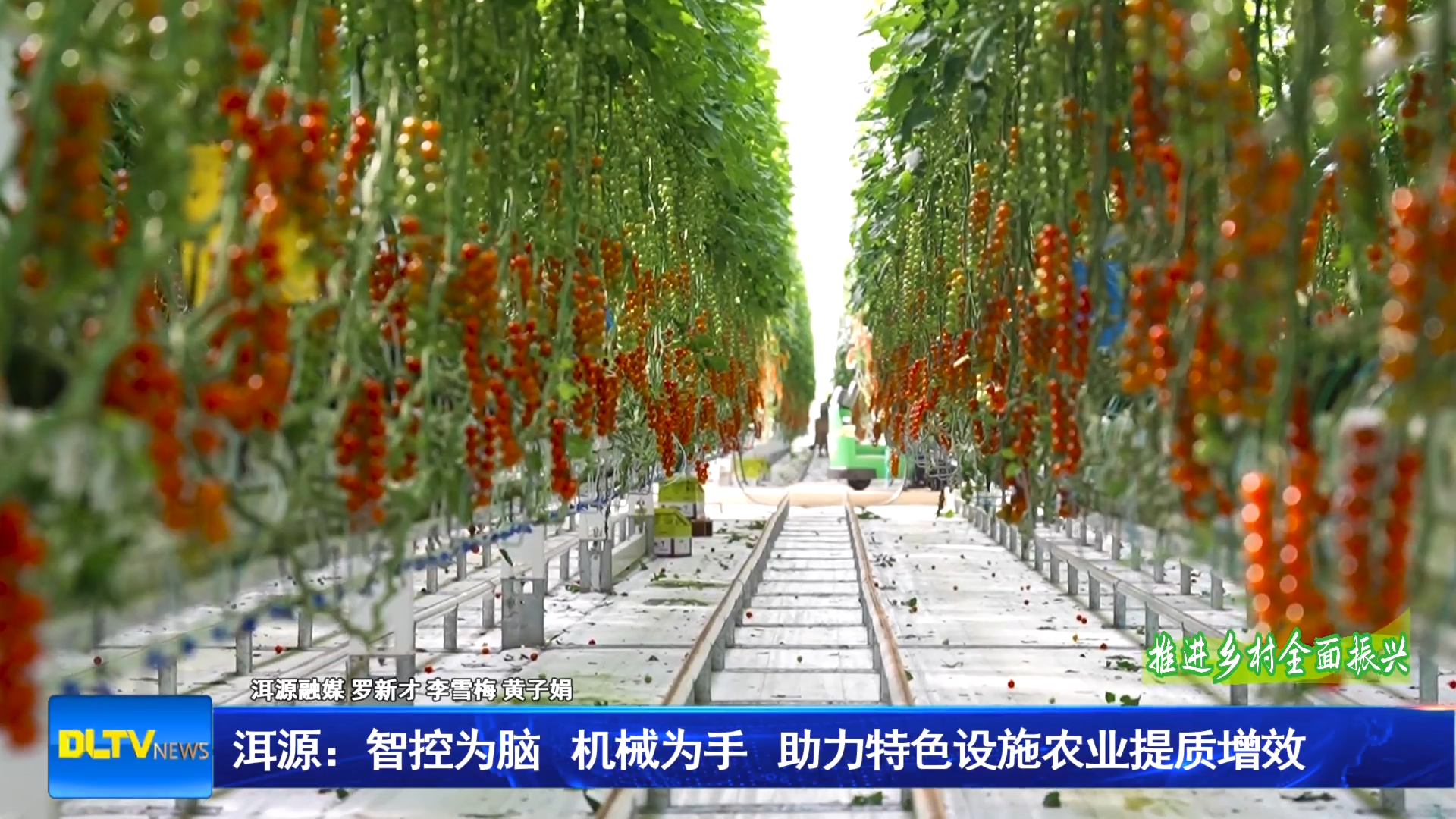 洱源：智控为脑  机械为手  助力特色设施农业提质增效