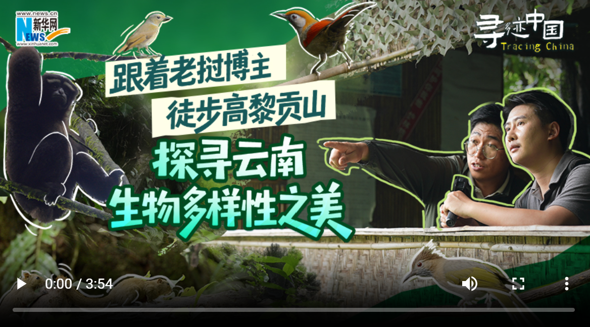 1793266967346080.png 屏幕截图 2026-10-29 174236.png