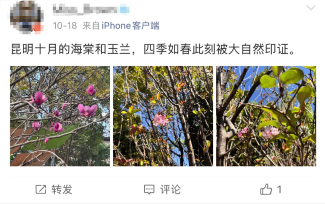 图片 1